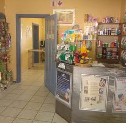 7_Reception for Cornerhouse Vet.jpg